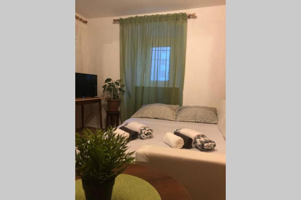 Apartman Kadic Senj Senj  Exteriör bild