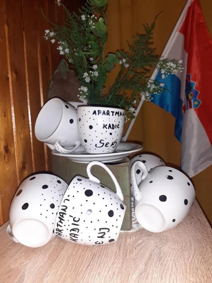 Apartman Kadic Senj Senj  Exteriör bild